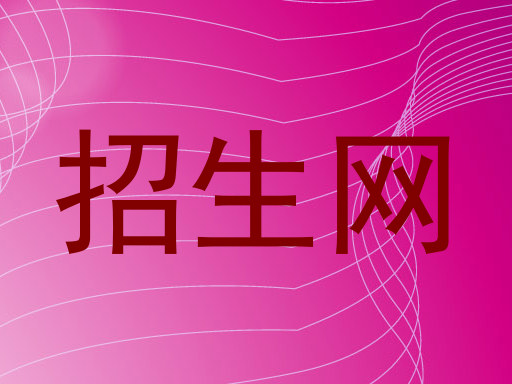 招生网