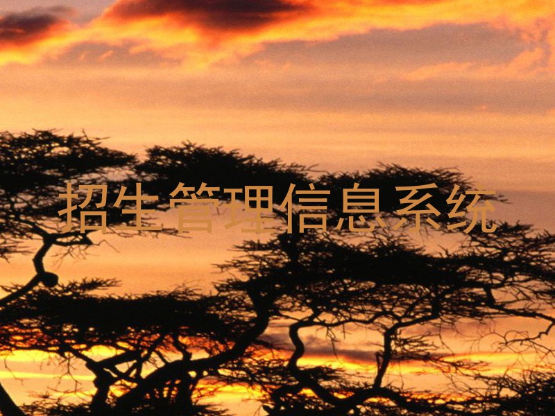 招生管理信息系统