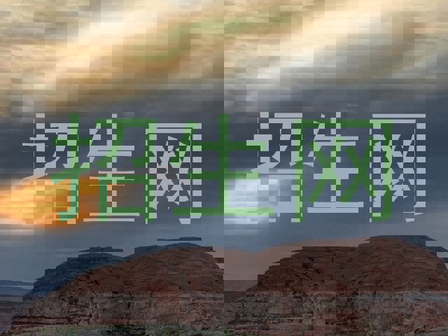 招生网