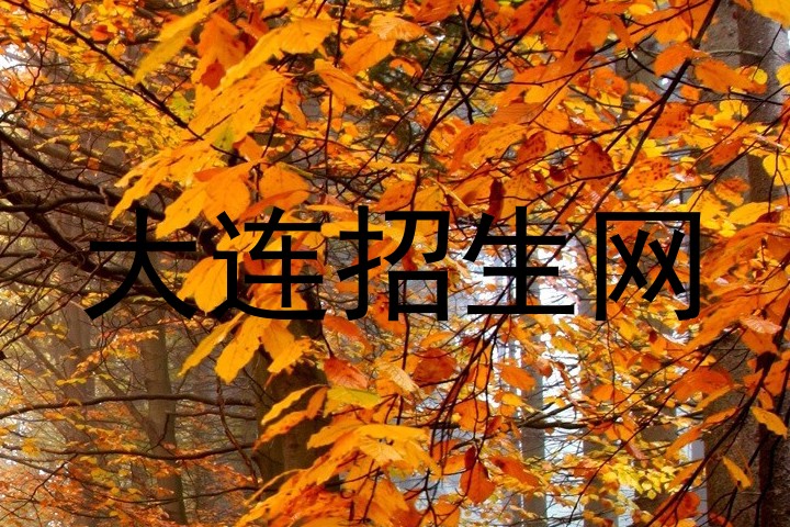 大连招生网