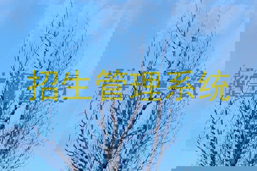 招生管理系统