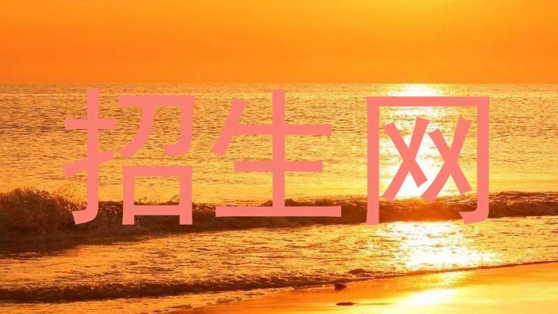 招生网