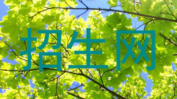 招生网