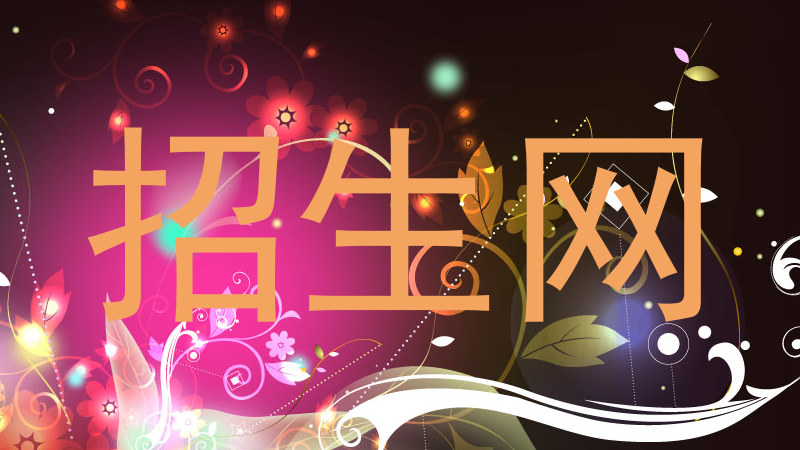 招生网