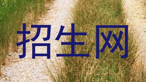 招生网