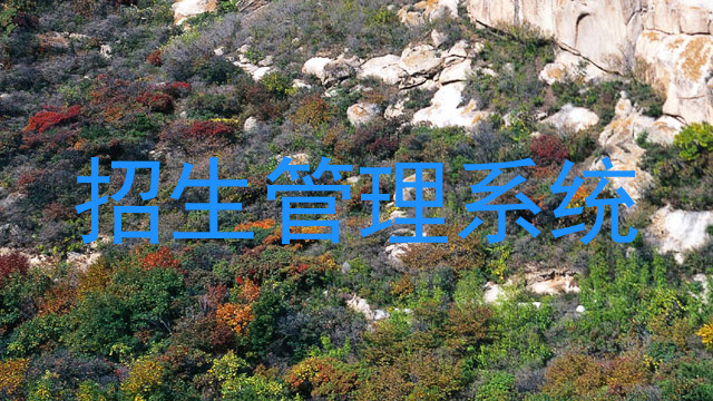 招生管理系统