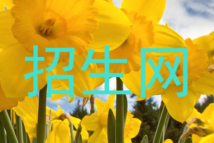 招生网