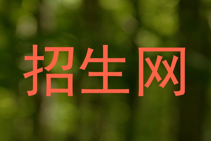 招生网