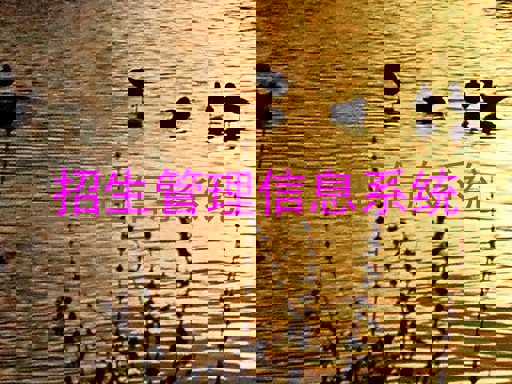 招生管理信息系统