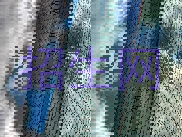 招生网