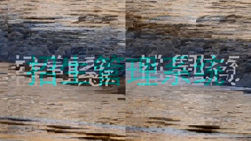 招生管理系统