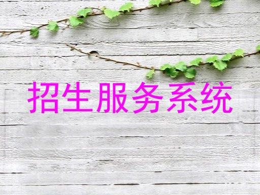 招生服务系统
