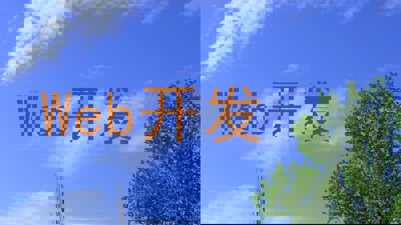 Web开发