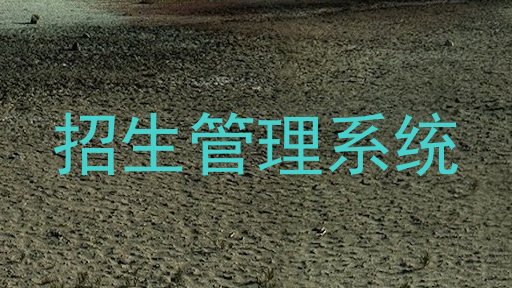 招生管理系统