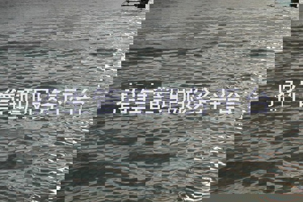 招生管理服务平台