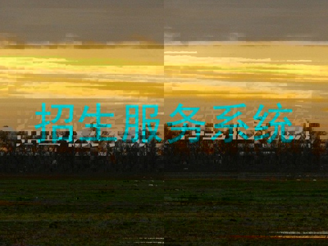 招生服务系统