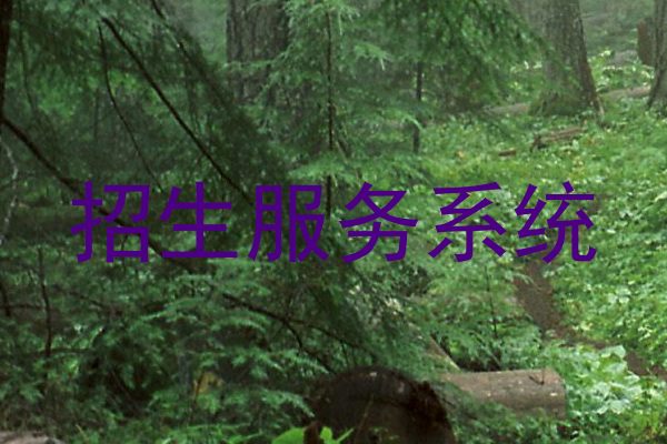 招生服务系统