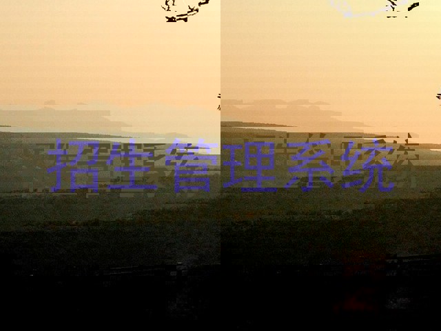 招生管理系统
