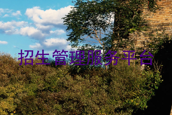 招生管理服务平台