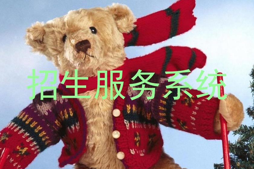 招生服务系统