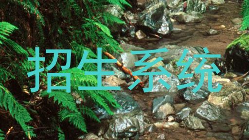 招生系统