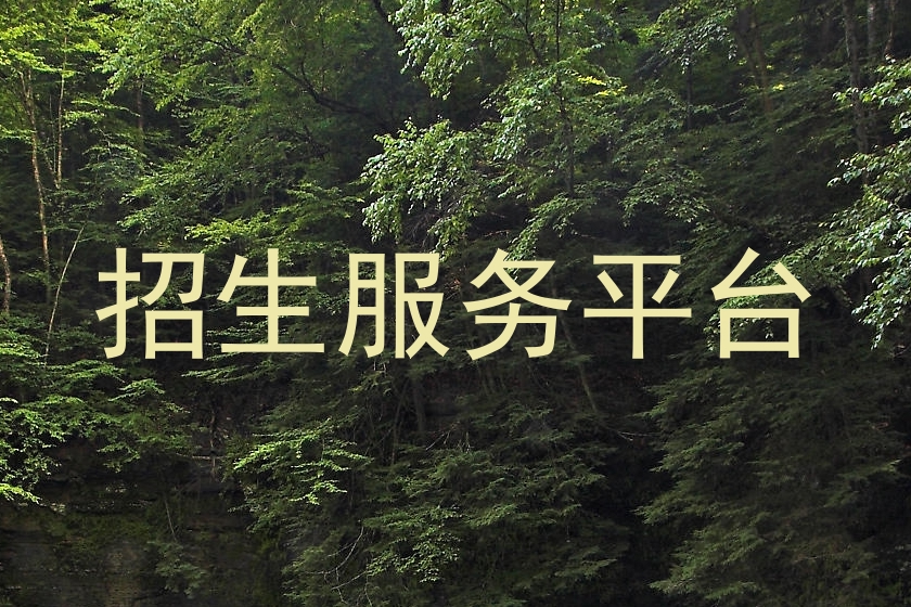 招生服务平台