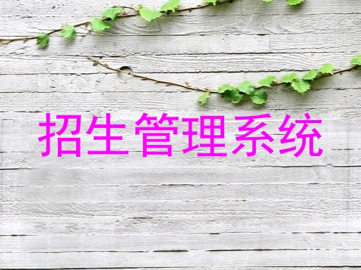 招生管理系统