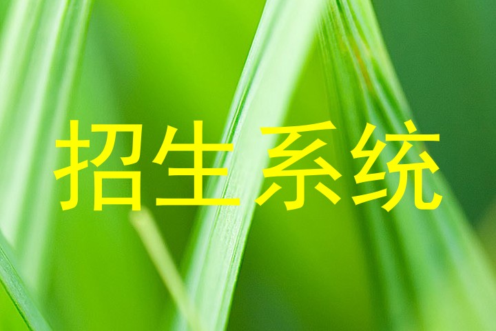 招生系统