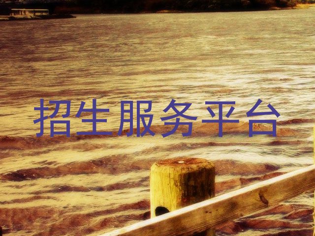 招生服务平台