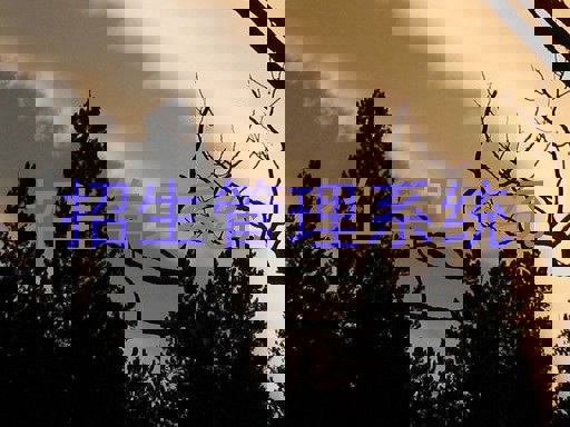 招生管理系统