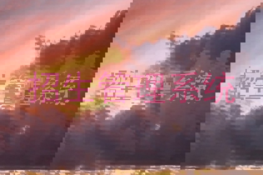 招生管理系统