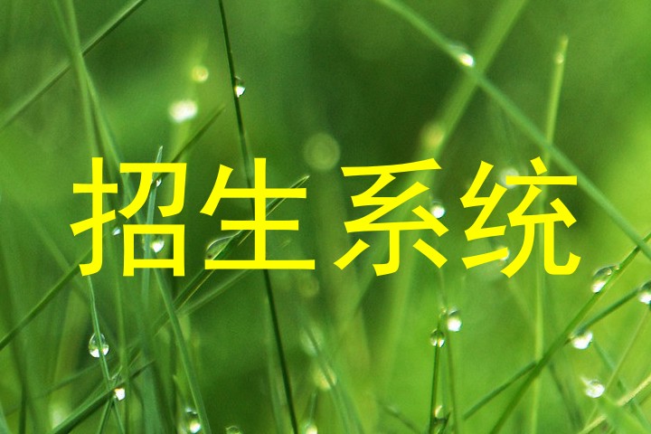 招生系统