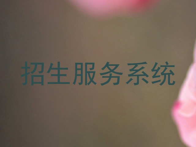 招生服务系统