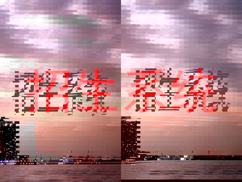 招生系统