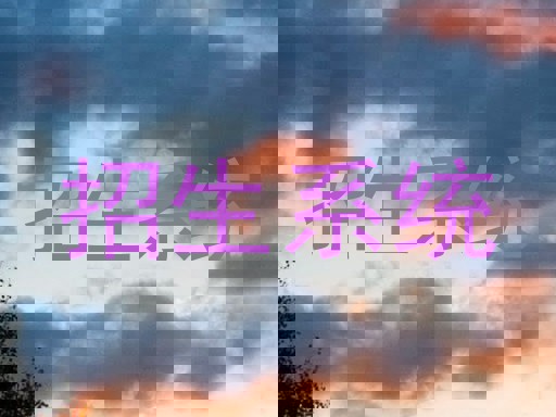 招生系统