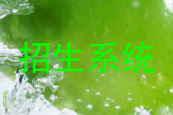 招生系统