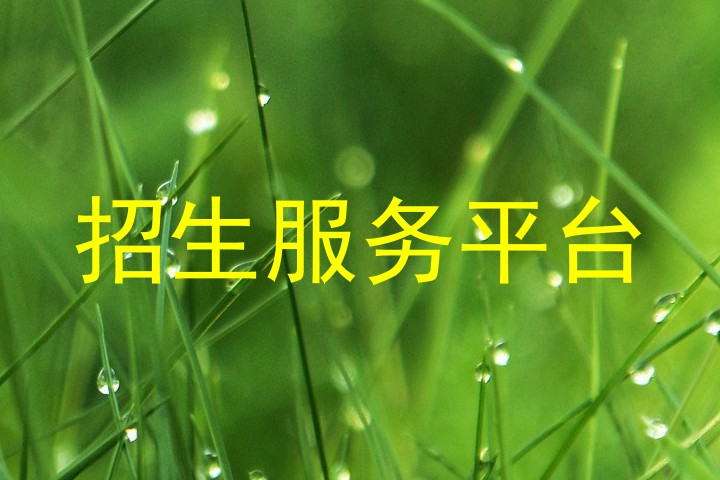 招生服务平台