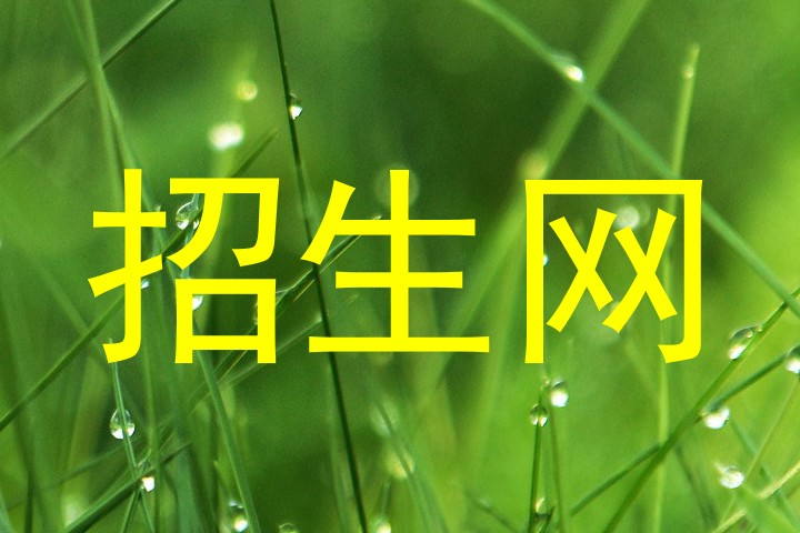 招生网