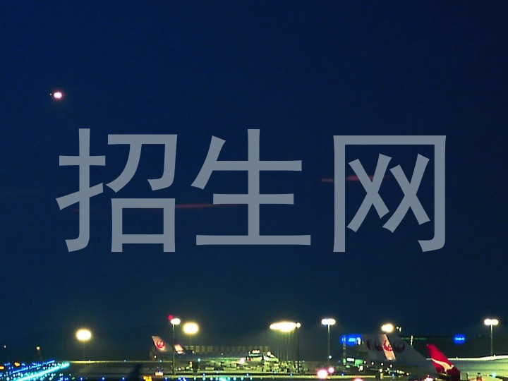 招生网