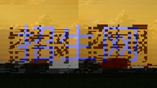 招生网
