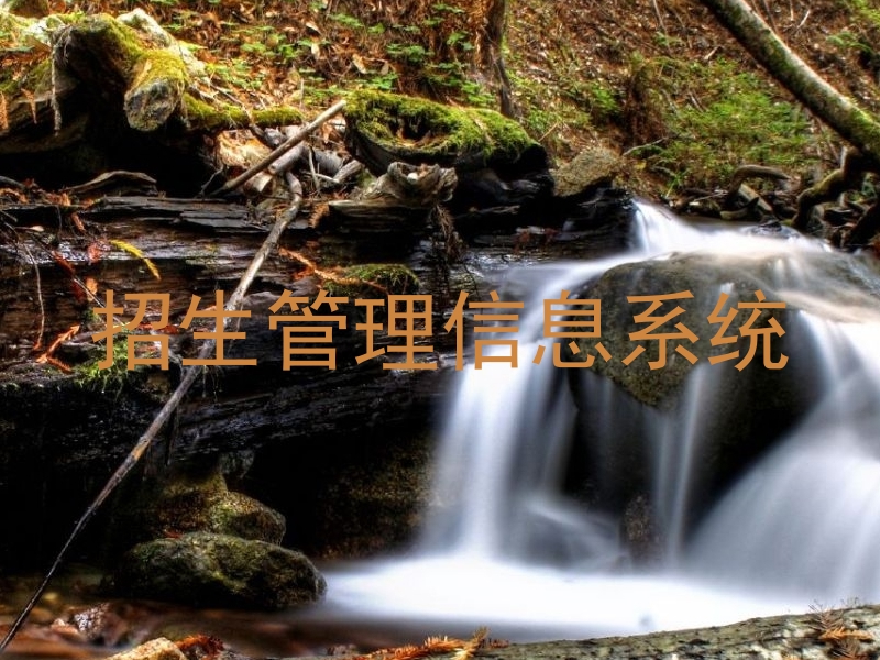 招生管理信息系统