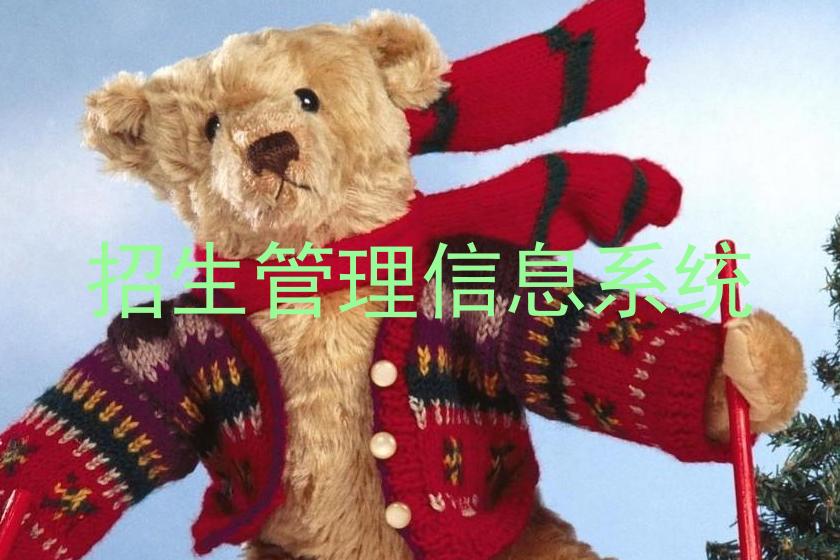 招生管理信息系统