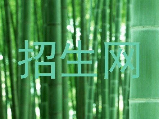 招生网