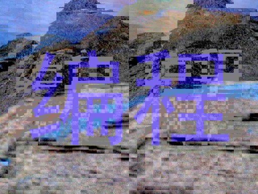 编程