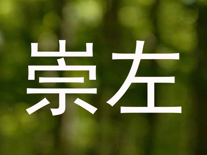 崇左