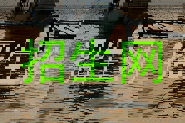 招生网