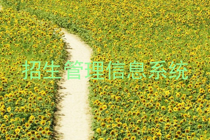 招生管理信息系统