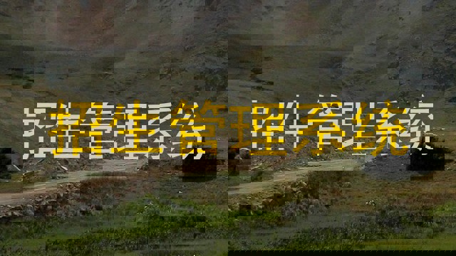 招生管理系统