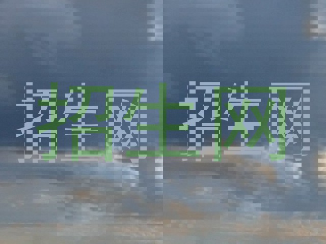 招生网
