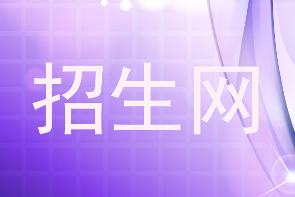 招生网